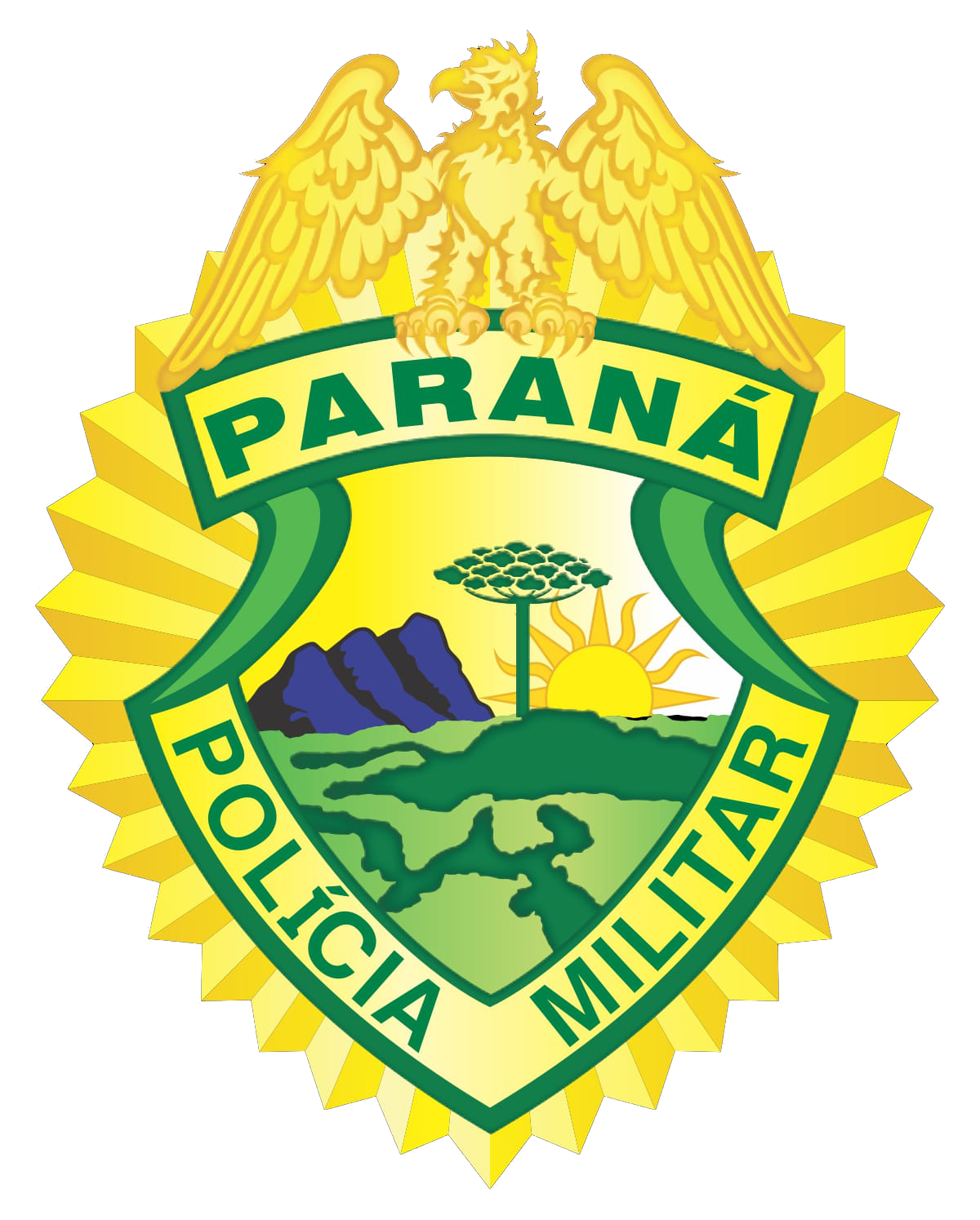 Logo 51